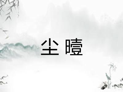 尘曀