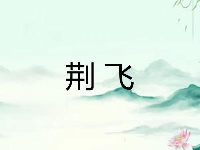 荆飞