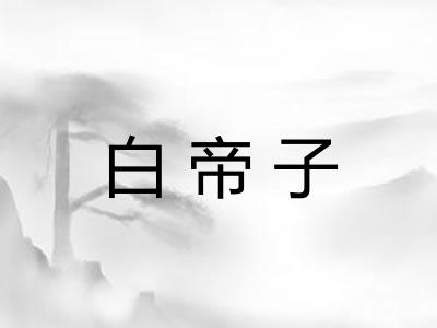 白帝子