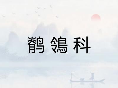 鹡鴒科