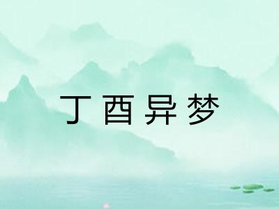 丁酉异梦