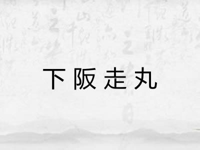 下阪走丸
