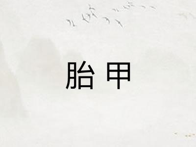 胎甲