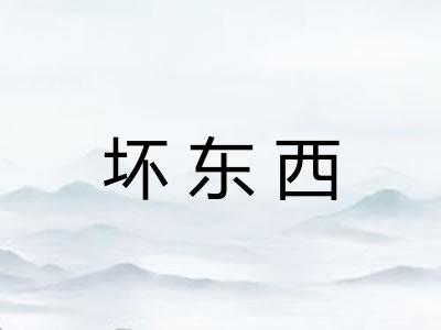 坏东西