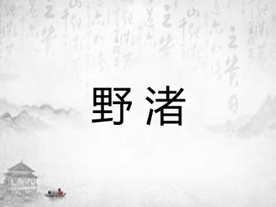 野渚