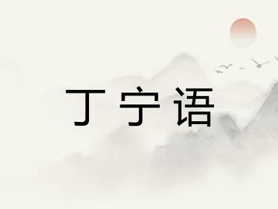 丁宁语