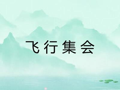 飞行集会