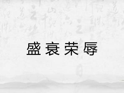 盛衰荣辱