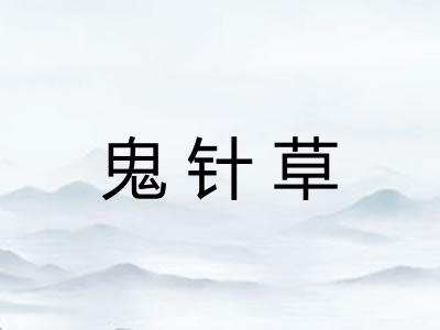 鬼针草
