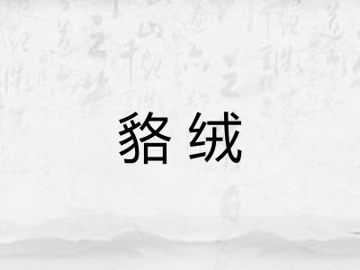 貉绒