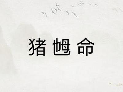 猪乸命