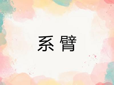 系臂
