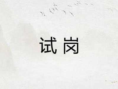 试岗