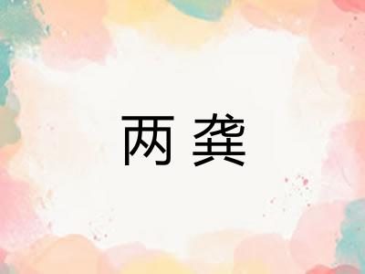 两龚