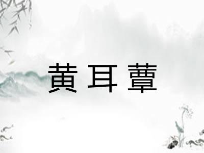 黄耳蕈