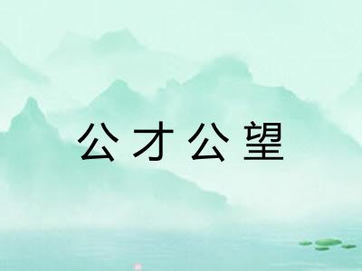 公才公望