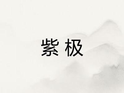 紫极