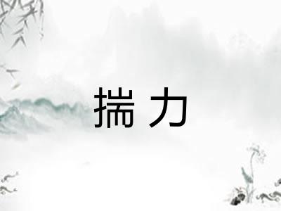 揣力