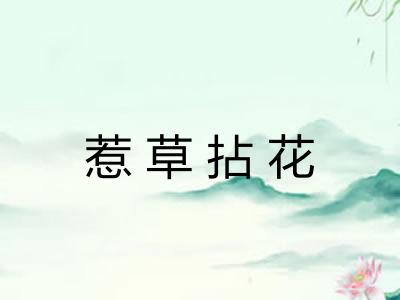 惹草拈花
