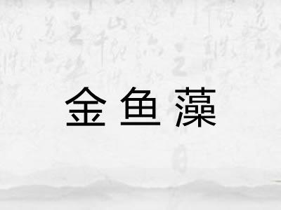 金鱼藻