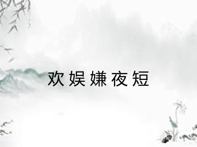 欢娱嫌夜短