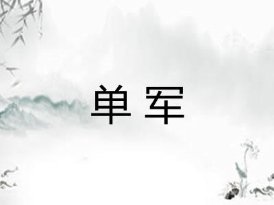 单军