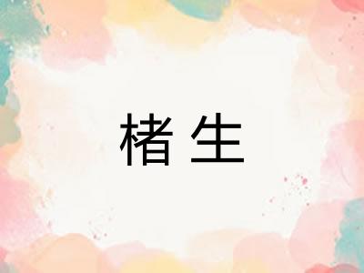 楮生