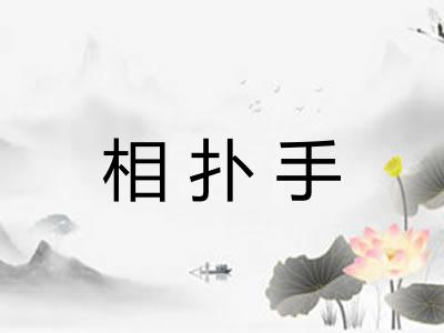 相扑手