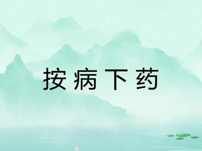 按病下药