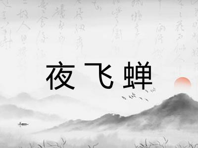 夜飞蝉