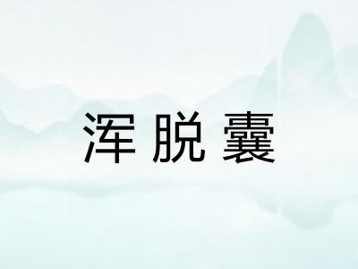 浑脱囊