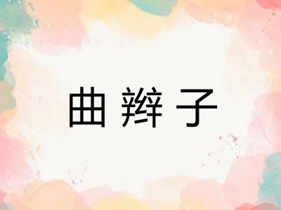 曲辫子