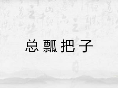 总瓢把子