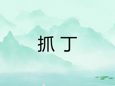 抓丁