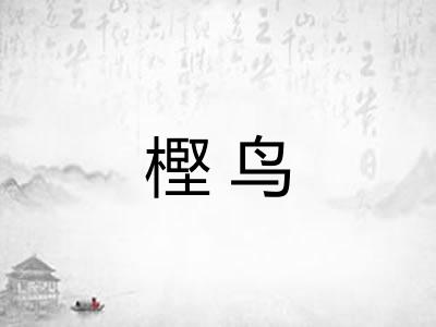 樫鸟