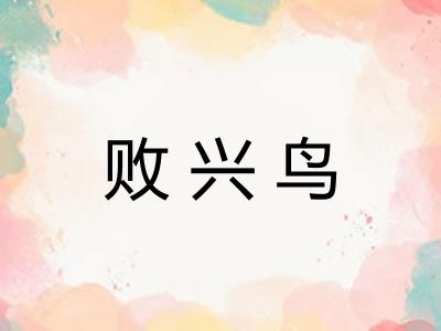败兴鸟