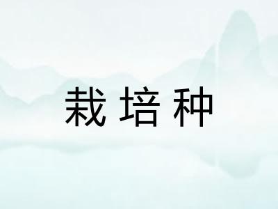 栽培种