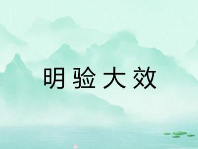 明验大效