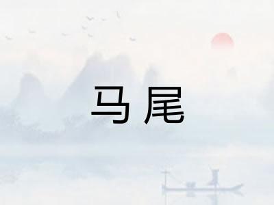马尾