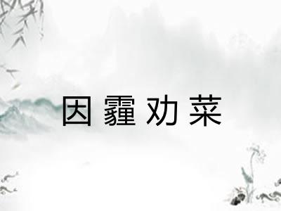 因霾劝菜