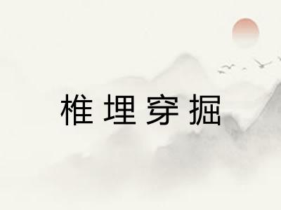 椎埋穿掘