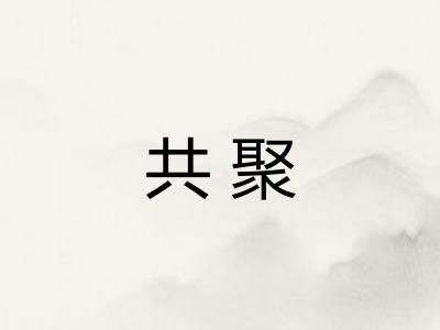 共聚