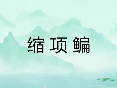 缩项鳊