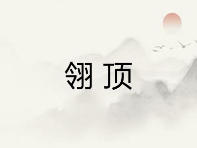 翎顶