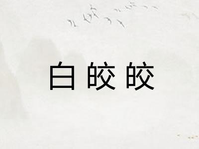 白皎皎