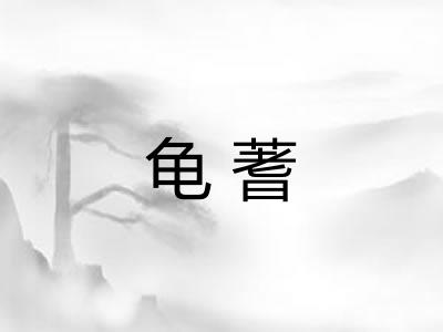 龟蓍