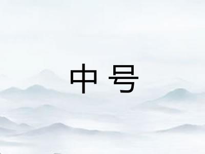 中号