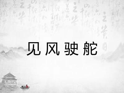 见风驶舵