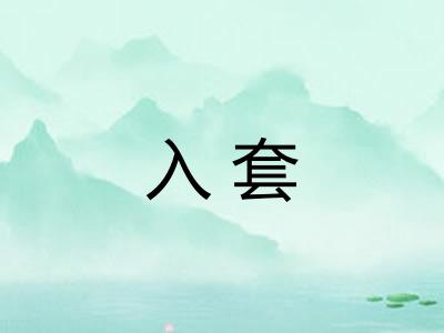 入套
