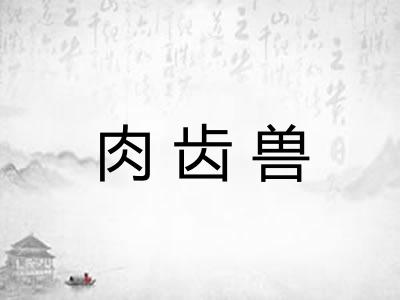 肉齿兽